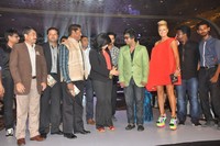 Beat the Box Album Launch